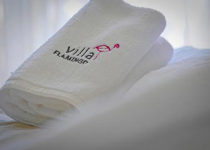 Flamingo Villa Kaštelir