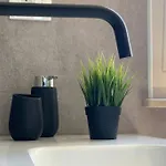 Flamingo *